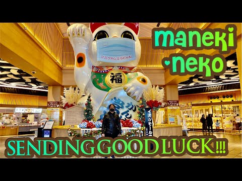 MANEKI-NEKO CHANG | THE JAPANESE LUCKY CAT | #nancydichannel