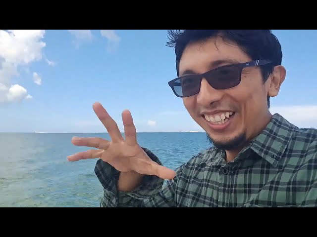 Vídeo relacionado con Cartucho de palanca única de 35 mm compatible con Abode Arkitekt Atlas Gino Hydrus Ignus Ophelia Pluro Prime Propus Quala Ratio Triana Tuscana Ultero Virtue