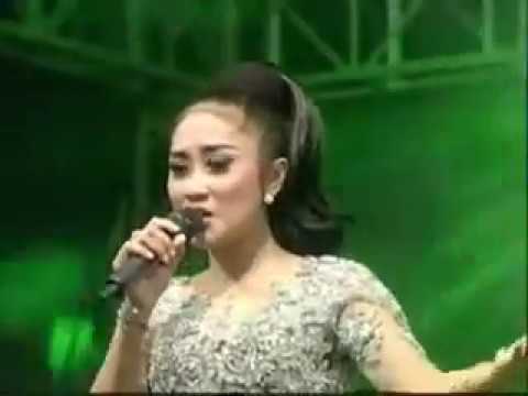 Download New Pallapa Anisa Rahma Ilalang Mp3 dan Mp4 Terbaru Gratis