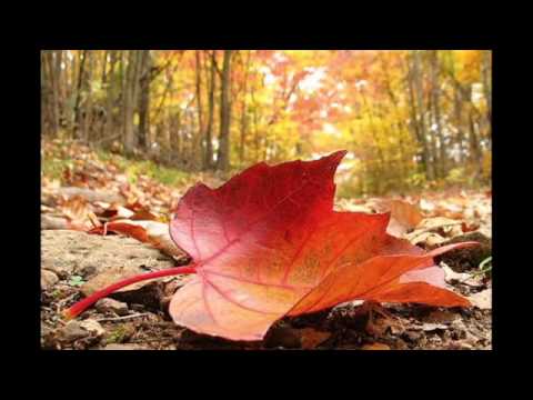 Toni Ursachi -  ACROSTIH DE TOAMNA