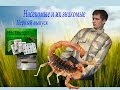 "Насекомые и их знакомые". №1 Золотой скорпион. Обзор. Патворщик шоу ...