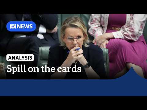 Liberals call for leadership spill after wave of frontbench resignations | ABC NEWS