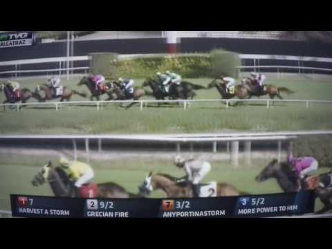 ALCATRAZ S ,STAKES $75,000 GRECIAN FIRE !!!