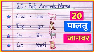 20 Pet Animals Name Hindi and English | पालतू जानवरों का नाम | Pet Animals Name in Hindi and English