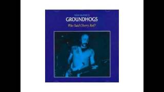 Junkman / A Year In The Life - Tony McPhee's GROUNDHOGS