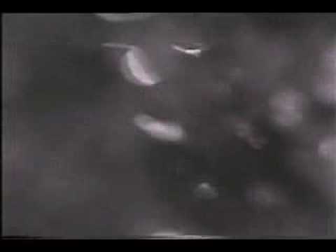 Digby Richards - Just Lovin' You