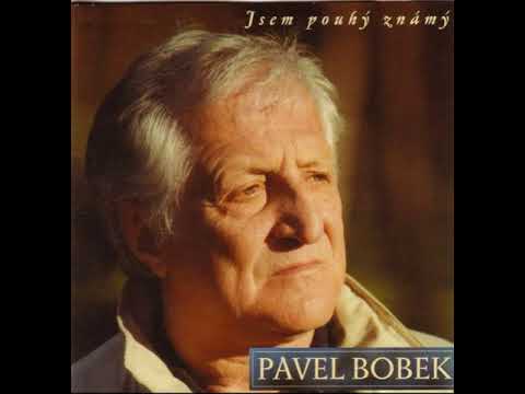 Pavel Bobek - Kámen mudrců (2000)