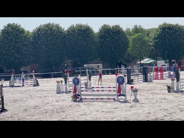 jument de 11 ans &agrave; vendre