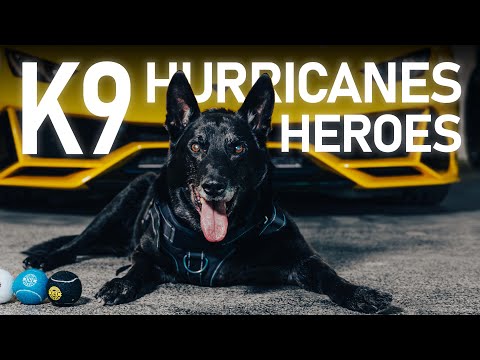 The Story behind our partnership with K9 Hurricane's Heroes