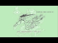 björk: virus (matthew herbert's 'fever' mix) 
