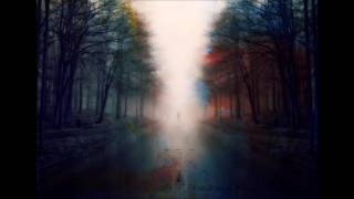 The Echelon Effect - Shoreline