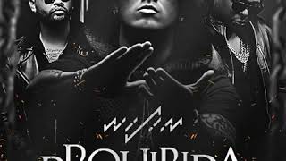 Wisin &amp; Zion &amp; Lennox - Prohibida