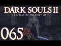 Dark Souls 2 [065] - Die vier Krieger