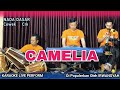 Camelia Karaoke Irwansyah Nada Cewek Cm Versi Tanjidor