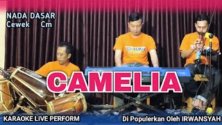 Download lagu Camelia karaoke - Irwansyah nada cewek Cm versi tanjidor mp3 Download lagu Camelia karaoke - Irwansyah nada cewek Cm versi tanjidor mp3