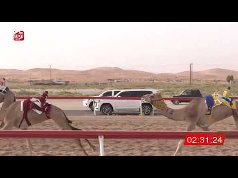 ش 13 (الفايضه) لـ سليمان خليفه بن سالم الحكماني 4:43 ، مهرجان العين 2026/08/02 حقايق الساد
