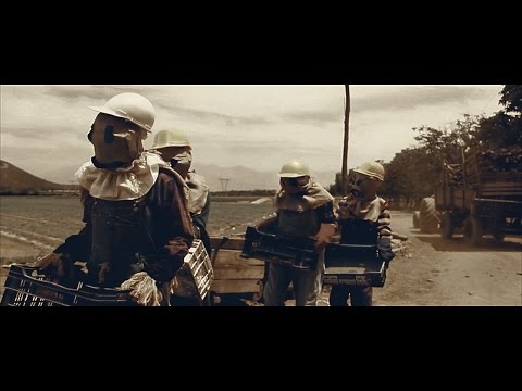 Tierra de nadie (Espantapájaros) - Cortometraje 2013