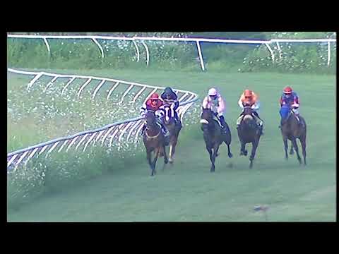 Napoli Galoppo 31/07/2021 - 3ª corsa