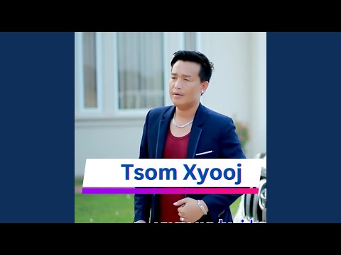 Xav Cheem Wb Lub Noob Nyoog