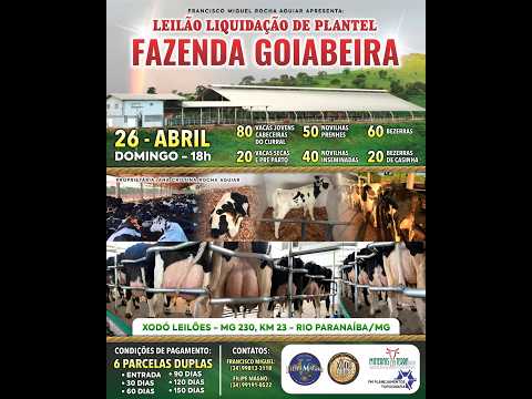 LEILÃO LIQUIDAÇÃO DE PLANTEL FAZENDA GOIABEIRA - FILIPE MAGNO LEILÕES - RIO PARANAÍBA-MG