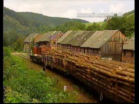 Die Baureihe V 100 (DR)