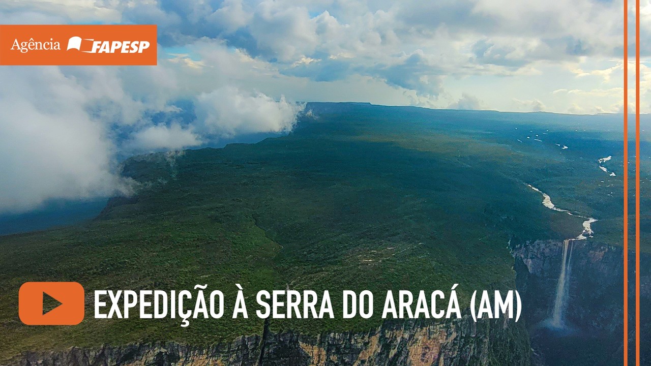 Expedição científica começa a revelar a biodiversidade da Serra do Aracá