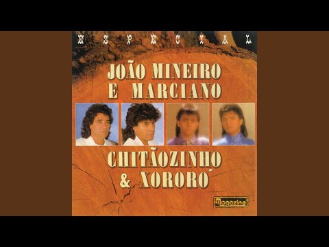 Se Eu Não Puder Te Esquecer