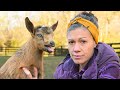 Please Don T Get A Goat