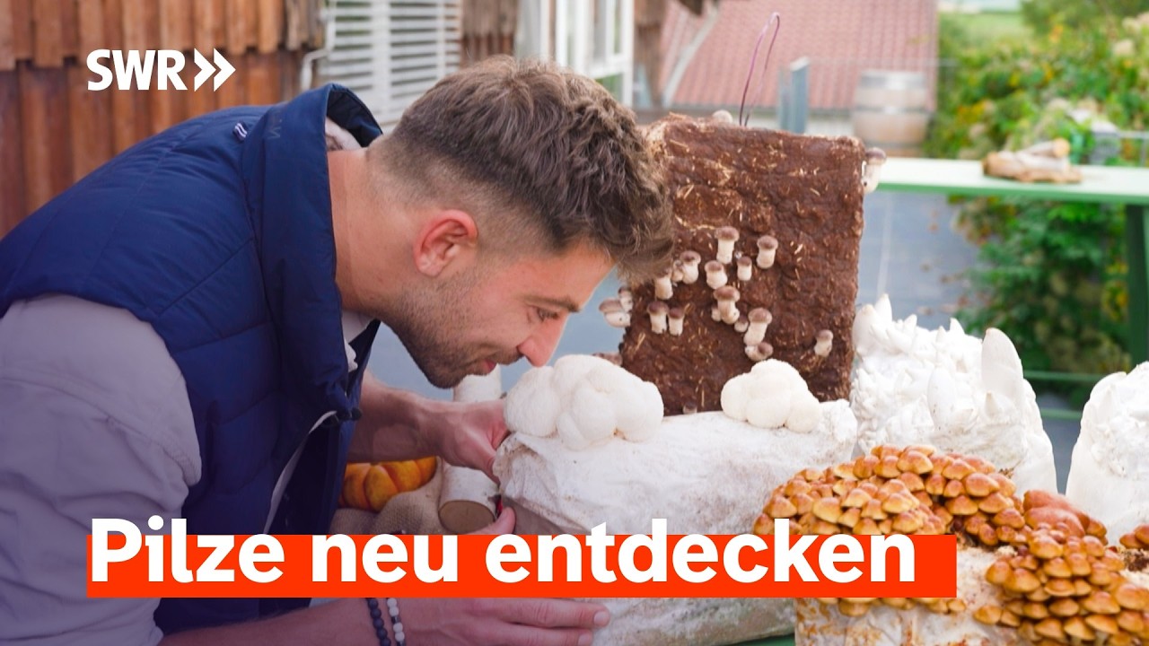 Faszination Pilze: Trüffel, Färben mit Pilzen und nachhaltige Produkte aus Myzel | SWR Treffpunkt