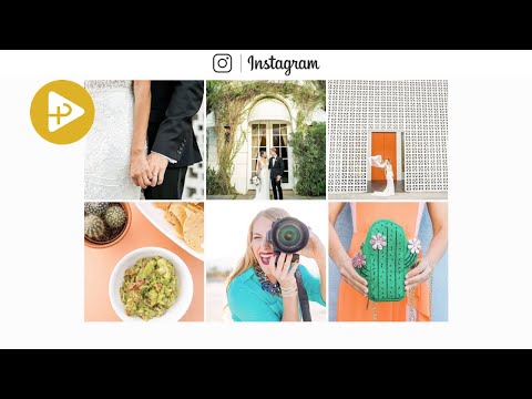 Proceeds Media video.