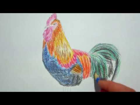 🐔 Hahn zeichnen lernen - Huhn malen - how to draw a cock  / chicken / rooster - как рисовать петуха