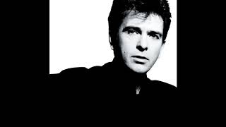 Peter Gabriel - That Voice Again (Lyrics &amp; subtitulado al español)