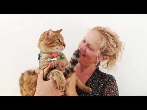 Flower child - Darcy Cat Flower Crown/Scarf