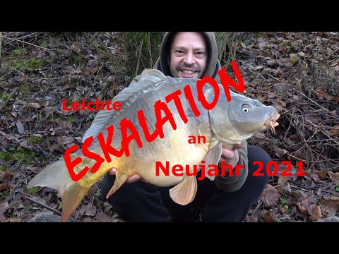 Karpfenangeln, Fangerfolg an Neujahr 2021