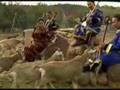 Chirgilchin - Goats 