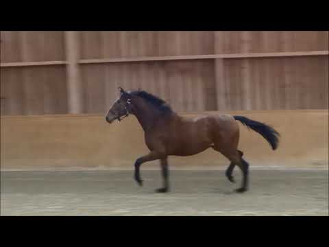 Fürst Belissaro - All Inclusive; Hof Thelker