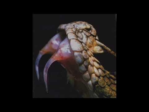 Reptile Womb (International) - Excretory Dæmonolatreia (Album 2019)