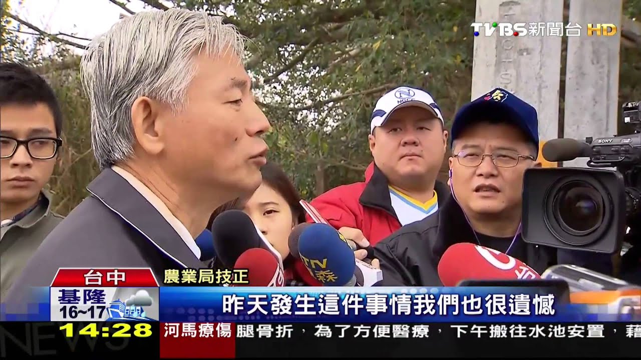 運送有無違法!農業局查天馬 吃閉門羹
