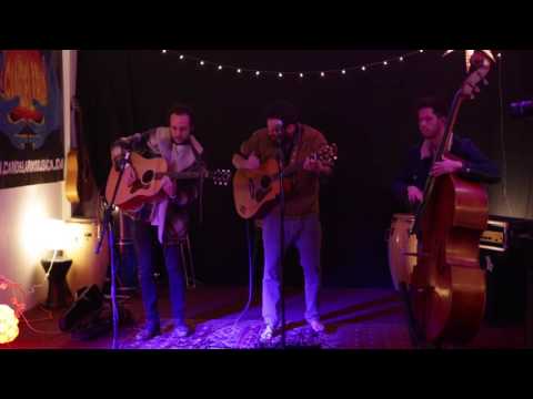 Papa Bear and the Easy Love