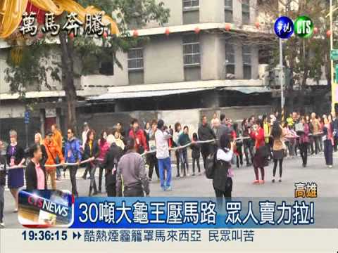 30噸大龜王上街 ""拉攏"老外體驗!