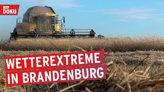 Trockenes Land: Zwischen Dürre und Starkregen | rbb24 Reportage