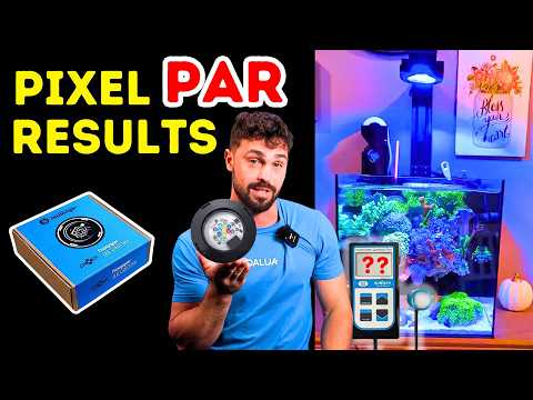 Pixel LED by DALUA: 25W Light That Crushes 55W Competitors