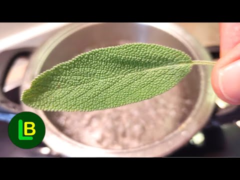 Why should man die if this plant grows in his garden