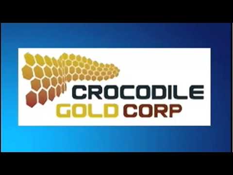 January 16th Trade What You See with host Larry Pesavento - 2013