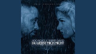 Du liebst mich nicht (Phil The Beat Club-Remix)