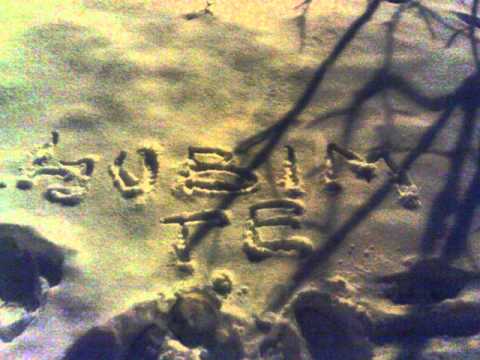 Nemanja Stevanovic 2010 - www.FolkoTeka.com - Nikad ne placem