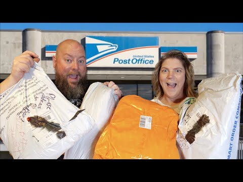 I Bought 45 Pounds of Premium LOST MAIL Packages