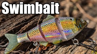 Bass Fishing With a NEW SWIMBAIT! My First Bass On a NEW LURE
