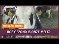 REPO: Hoe gezond is onze melk eigenlijk?