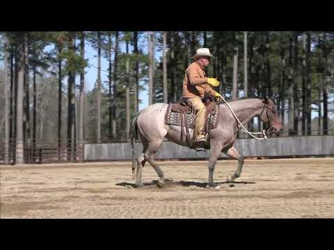 How to Post in a Western Saddle Preview